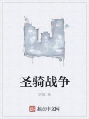 圣骑战争