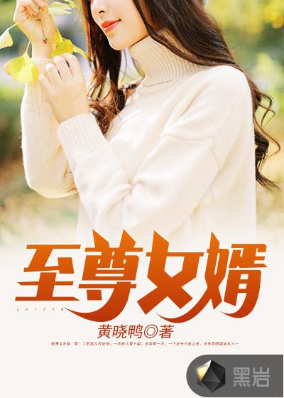 至尊女婿