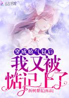 苏轩叶慕瑾肖雅