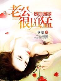 先婚后爱：老公很凶猛